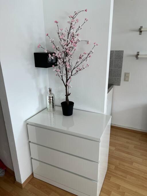 Kleines Apartment Im Zentrum Von Wuerzburg Экстерьер фото